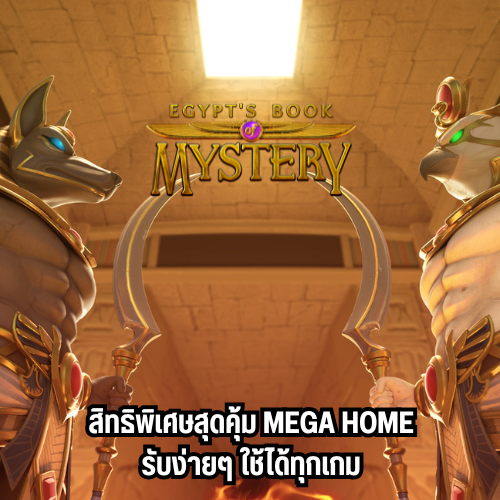 mega home